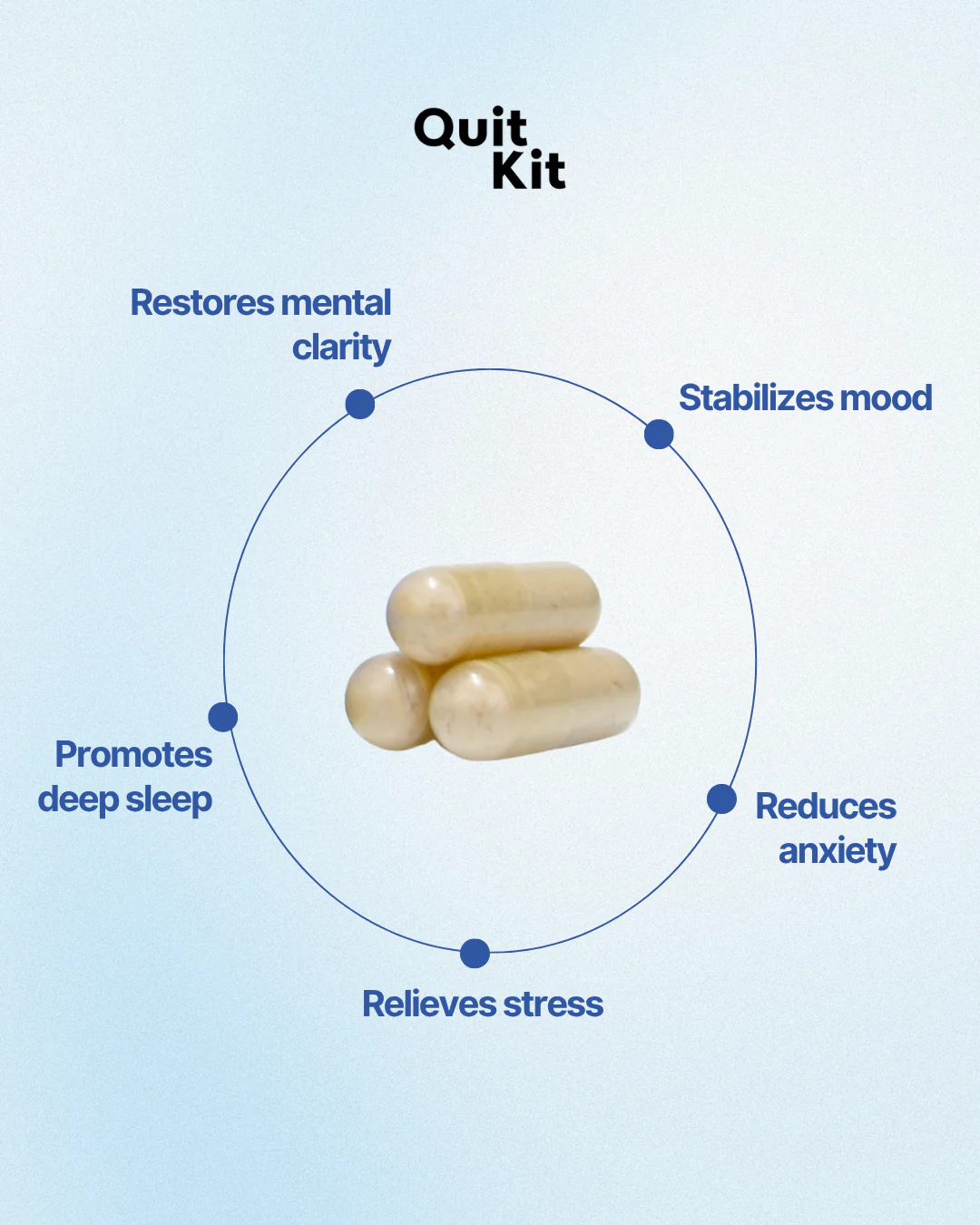 Quit Kit 21-Day Recovery System - Image 5